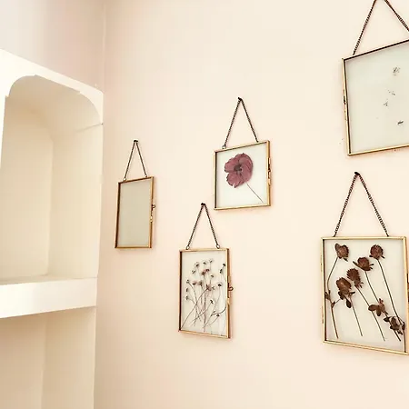 Le Zen-appartement 3 Pieces Centre Apartment Cannes
